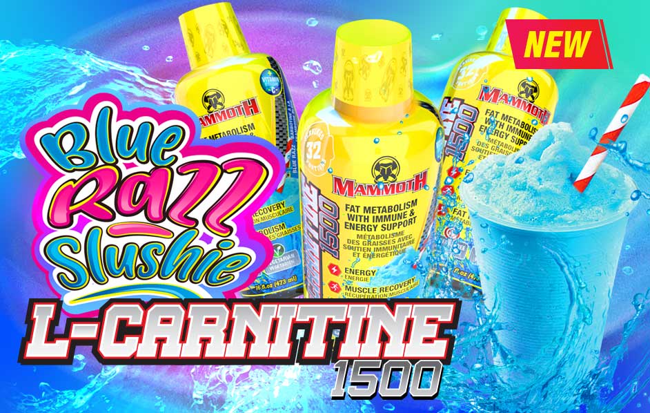 Mammoth - L Carnitine