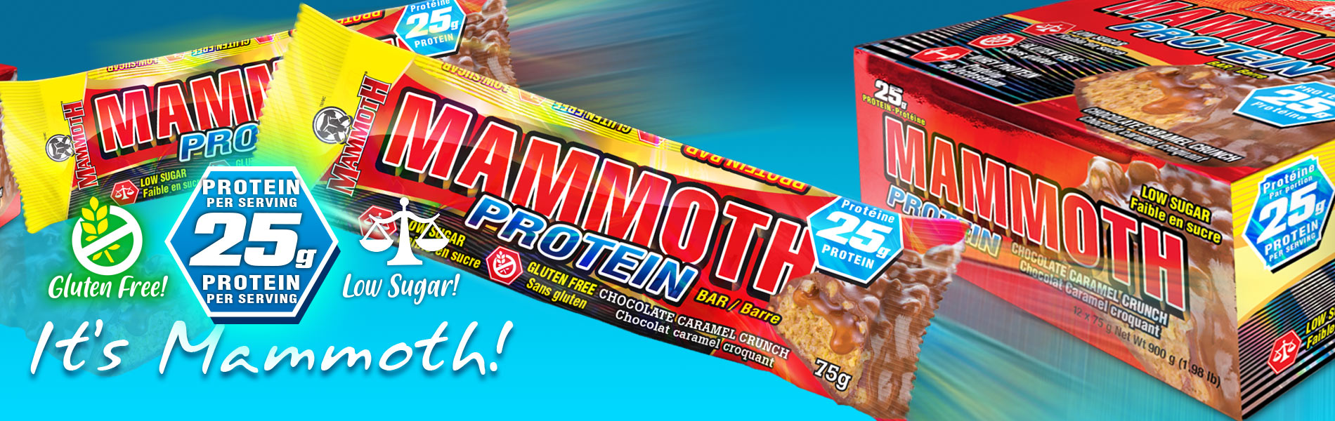 Protein Bar