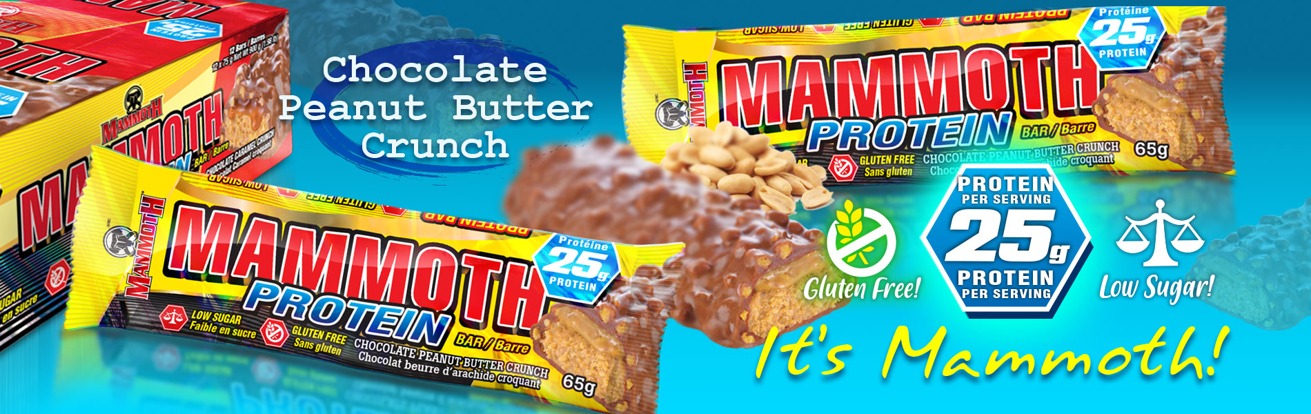 Protein Bar