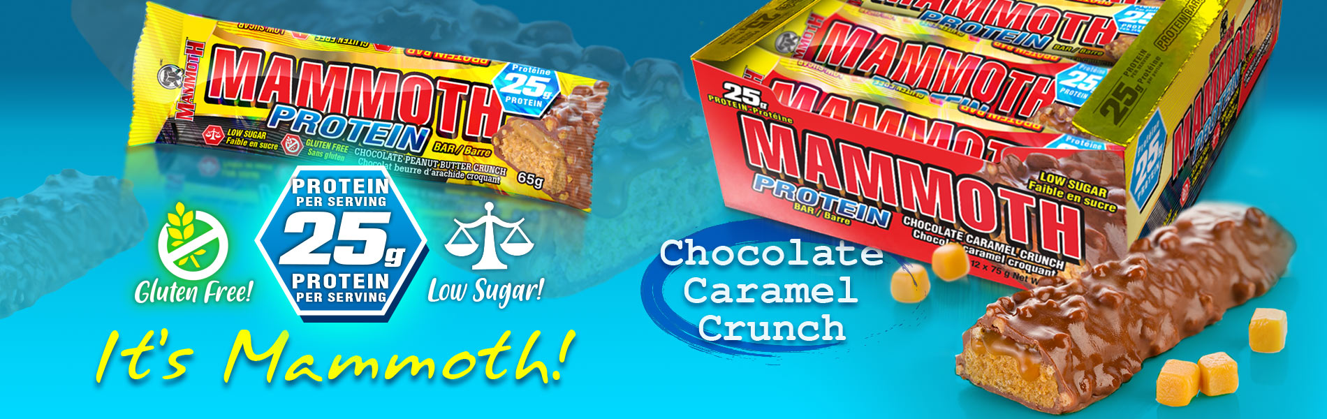 Protein Bar
