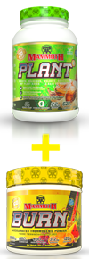 PLANT - BURN STACK