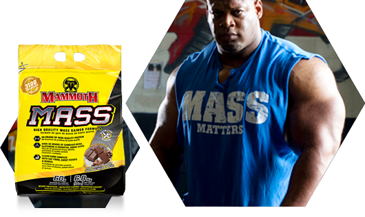 MASS Cass White