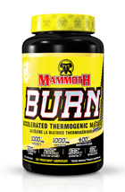 Mammoth Burn