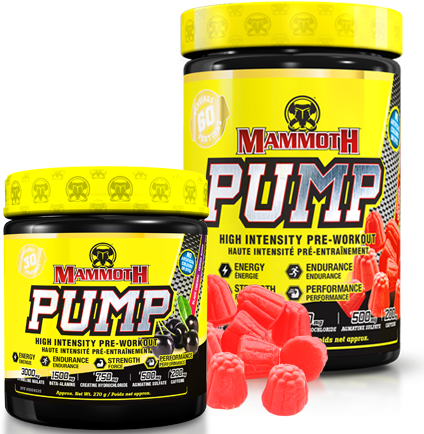 Mammoth Pump